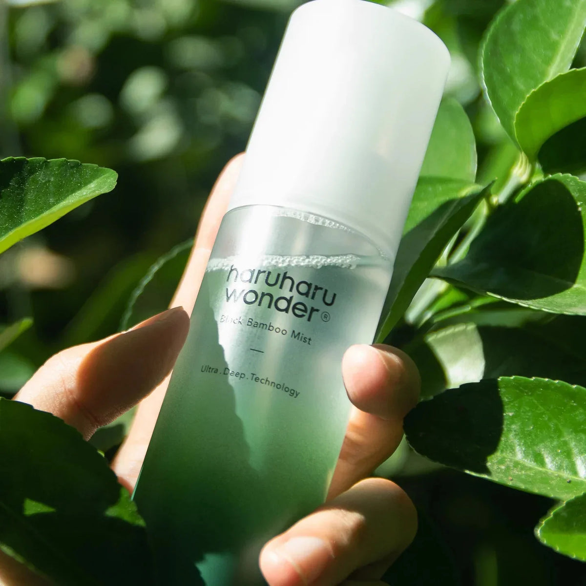 Haruharu Wonder Black Bamboo Mist travel friendly hydrating Korean skincare for dry skin K Beauty World